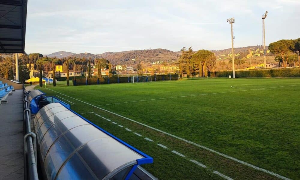 Viola Park