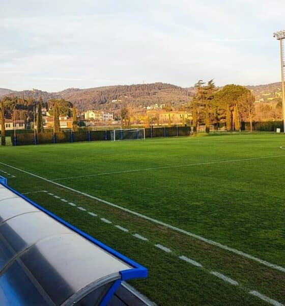 Viola Park