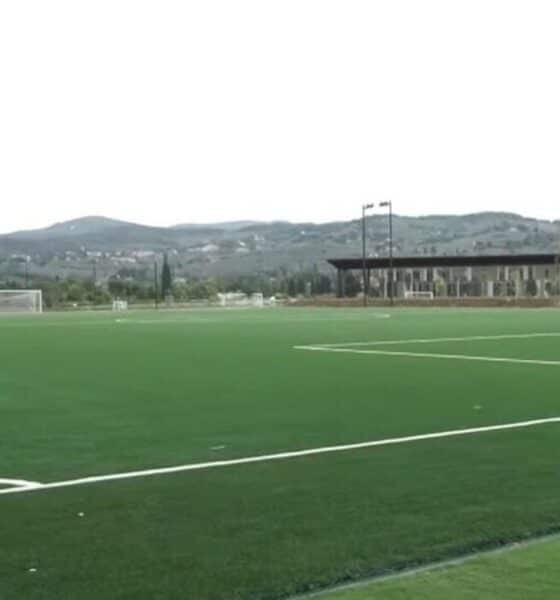 Viola Park