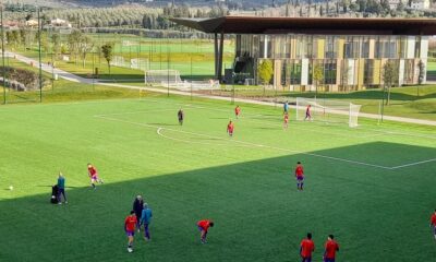 Fiorentina U18, Viola Park