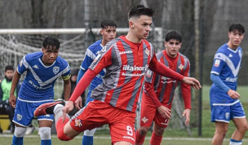 David Stuckler Cremonese