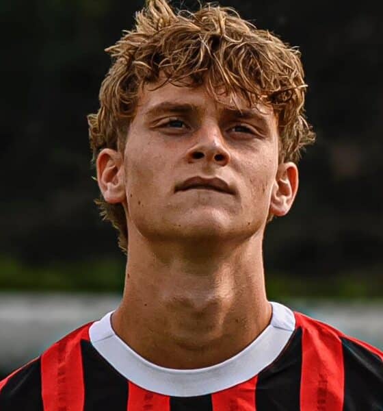 Maximilian Ibrahimovic Milan