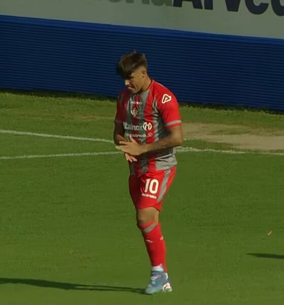 Gabbiani (Cremonese)