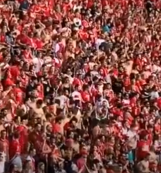 Triestina tifosi