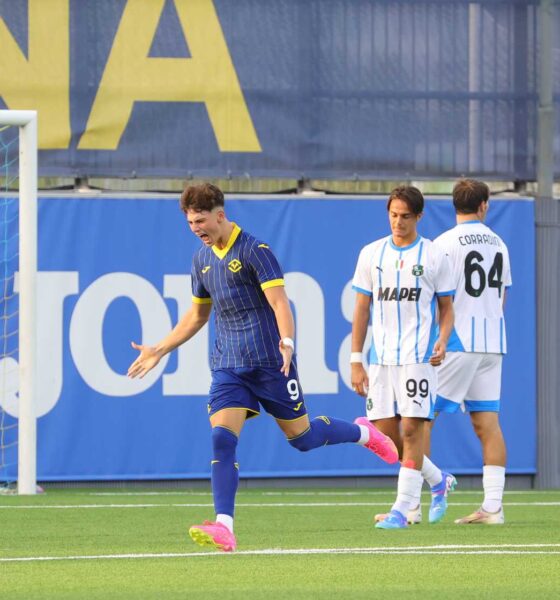 Ioan Vermesan Hellas Verona