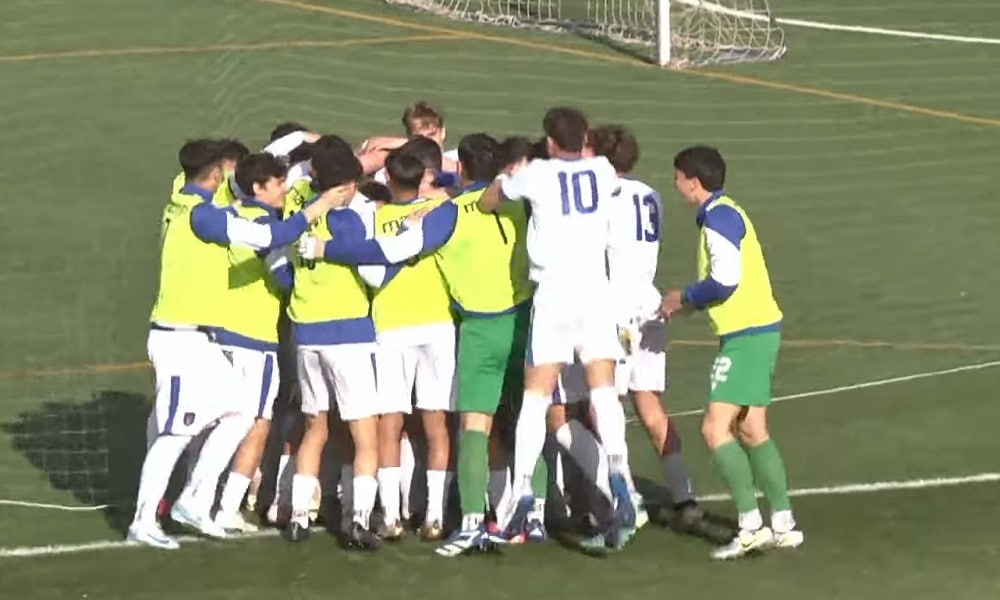 Rappresentativa Serie D esultanza