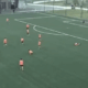 Fiorentina U18 allenamento