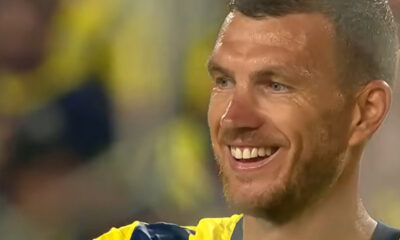 Edin Dzeko, Fenerbahce
