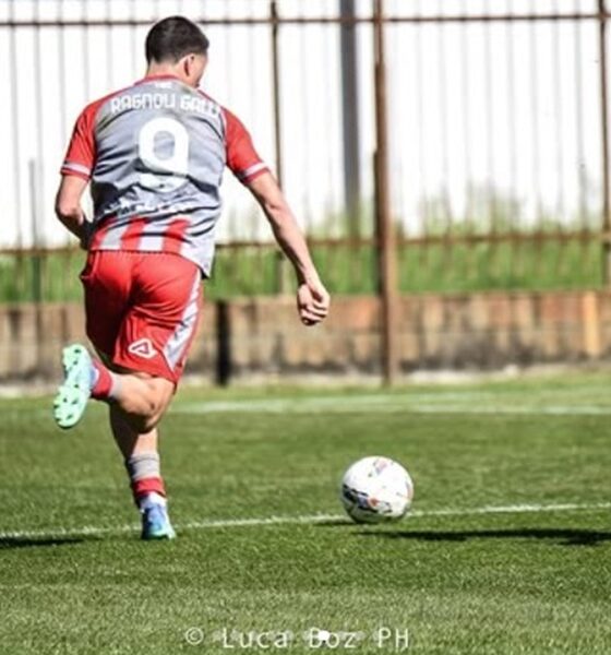 Ragnoli Galli Cremonese