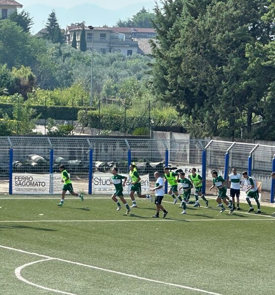 Avellino Primavera