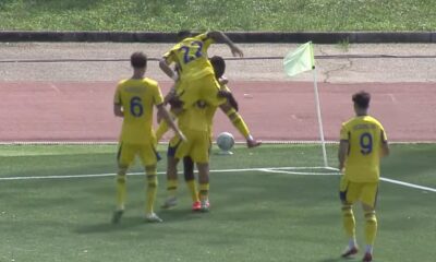 Hellas Verona esultanza