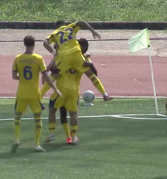 Hellas Verona esultanza