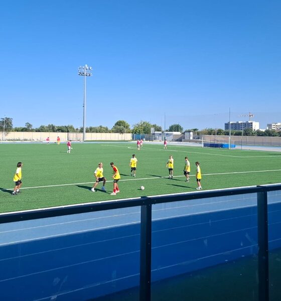 Campo Palmiotta Bari