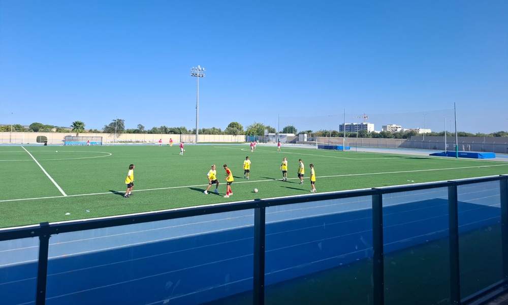 Campo Palmiotta Bari