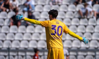 Fei Fiorentina