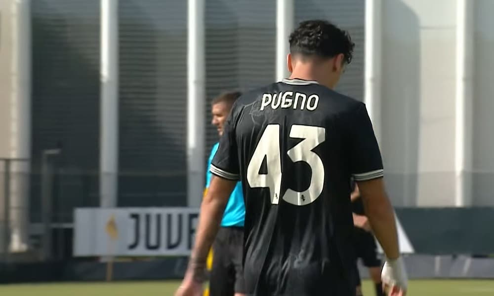 Diego Pugno