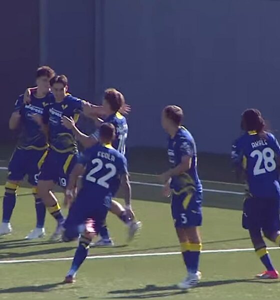 Hellas Verona esultanza