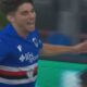 Pafundi, Sampdoria
