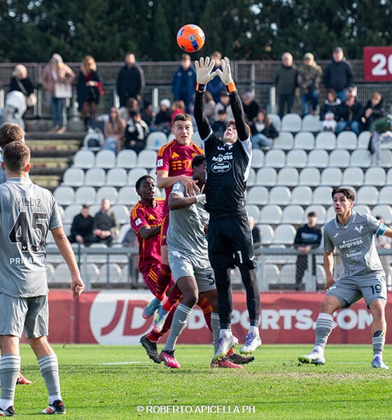 Castagnini Hellas Verona