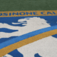 Frosinone logo