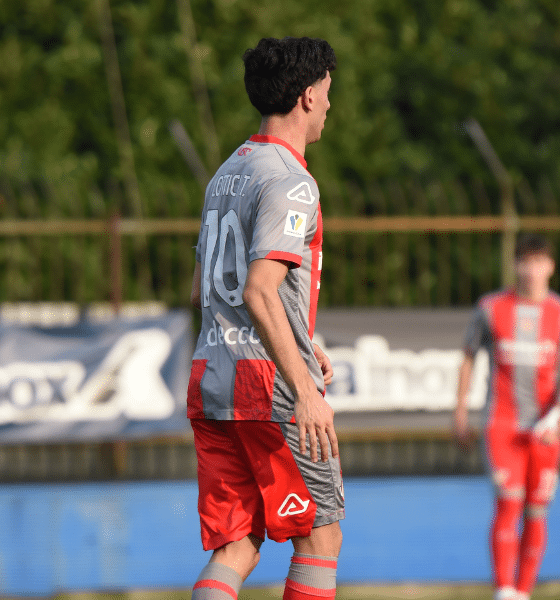 Lottici Tessadri Cremonese