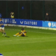 Diallo Parma