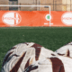 Genoa allenamento