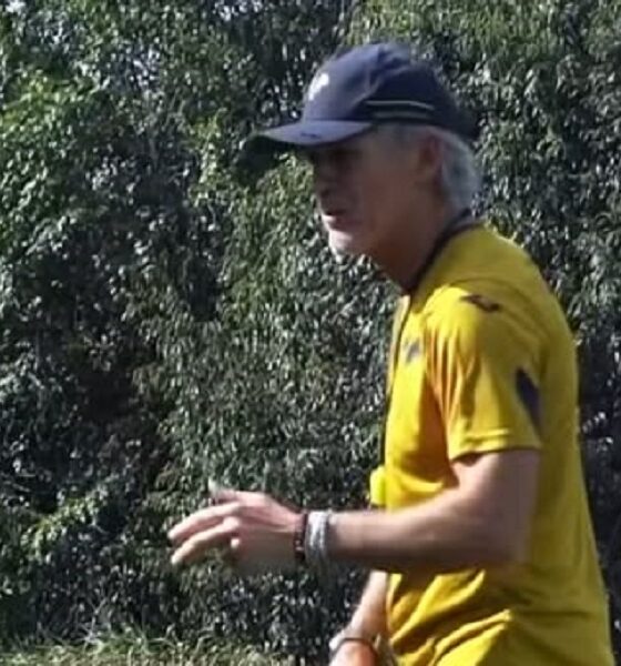Pavanel Verona
