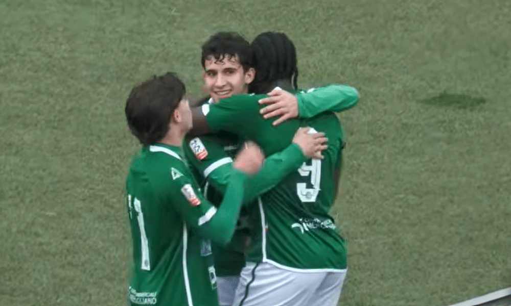 Avellino esultanza