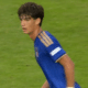 Diego Perillo