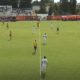 Lecce-Fiorentina