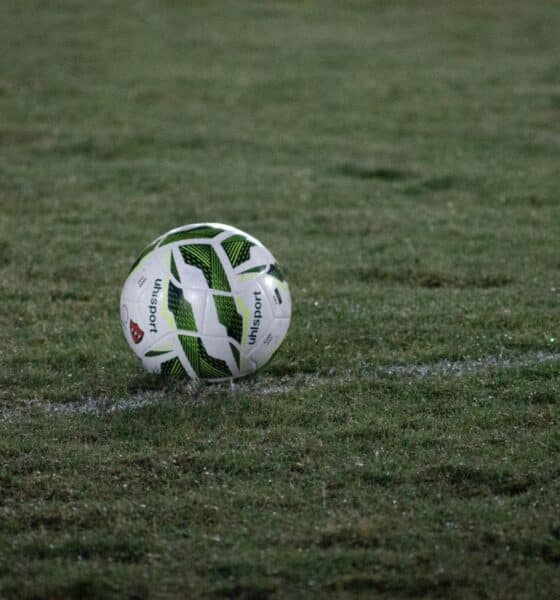 Pallone da calcio