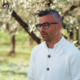 Di Natale